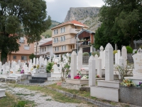 DSC06348