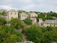 DSC06377