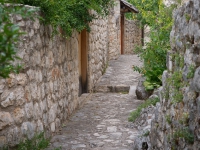 DSC06381