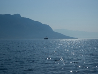 DSC06390