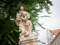 DSC03634