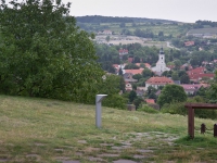 DSC03698
