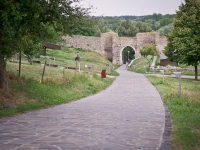 DSC03703