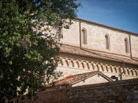 DSC05716