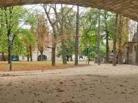 DSC06075