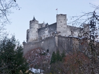 DSC08766