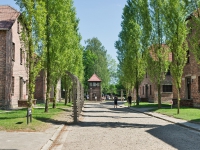 DSC01777