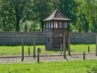 DSC01779