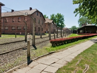DSC01803