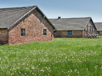 DSC01818