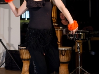 DSC03082