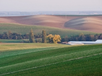 DSC03657