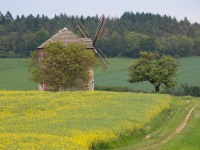IMG_4220