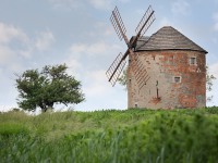 IMG_4227
