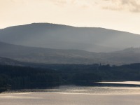 IMG_6137