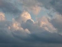 IMG_6179