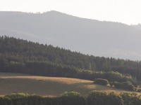 IMG_6190