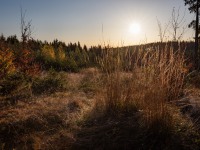 IMG_7677