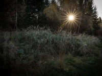 IMG_7681