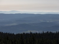 IMG_7698
