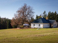 IMG_7727