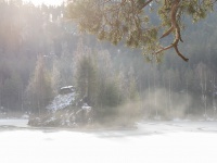 IMG_1888