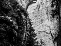 IMG_1901