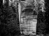 IMG_1908