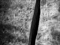 IMG_1911