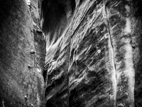 IMG_1916