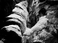 IMG_1939