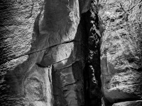 IMG_1950
