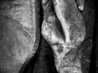 IMG_1956