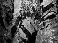 IMG_1967