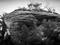 IMG_2041