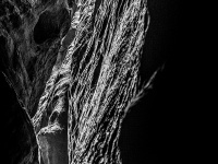 IMG_2053