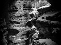 IMG_2058