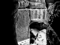 IMG_2061