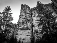 IMG_2068