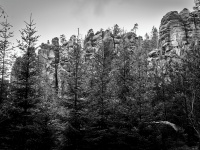 IMG_2069