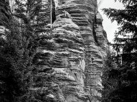 IMG_2077