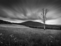 IMG_2499_BW