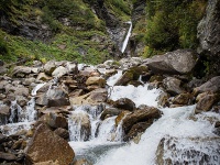 IMG_9314