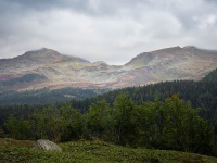 IMG_9320