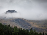 IMG_9339