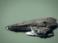 IMG_9470
