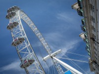 IMG_8104