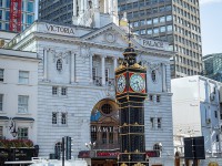 IMG_8214