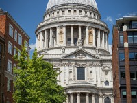 IMG_8310