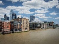 IMG_8318